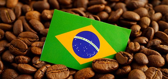 Café e Independência do Brasil: uma relação que ajudou a transformar o país