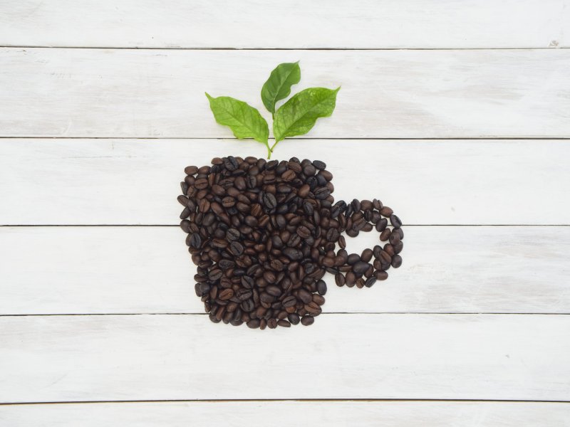 Café neutro em carbono: é um sonho possível?