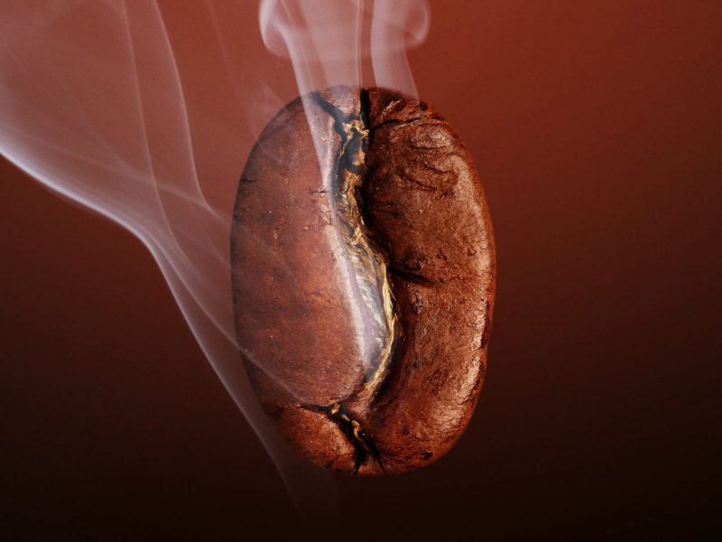 Torra do café: conceitos gerais e a transferência de calor