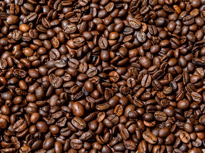 Coffee beans: discover the main types