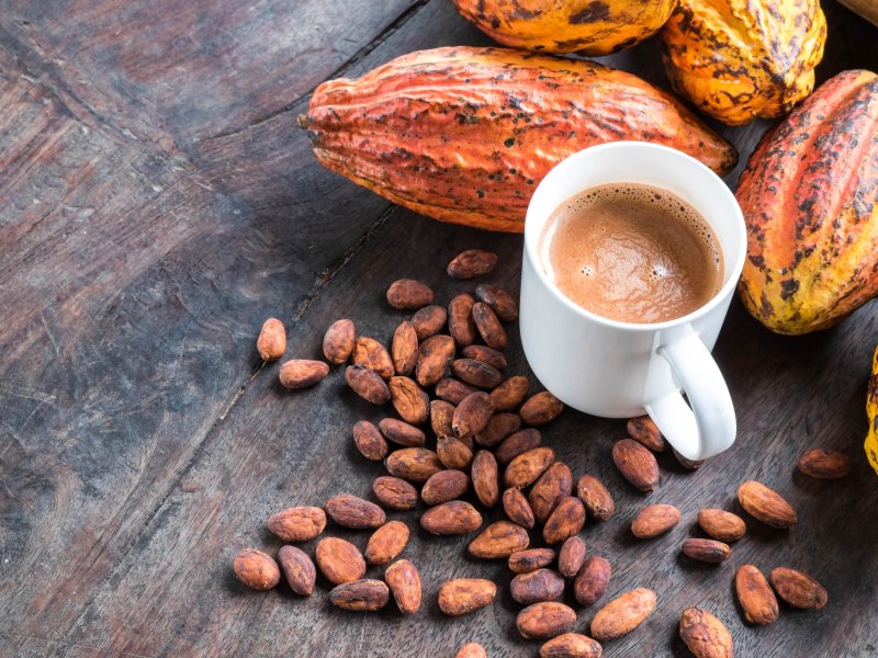 Coffee and cocoa: discover some similarities