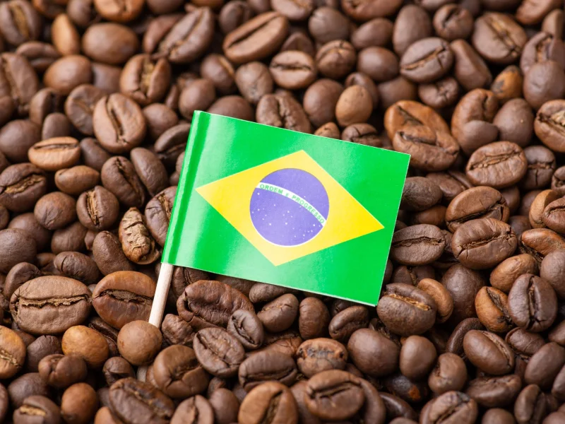 Coffee production: who is the largest producer in the world?