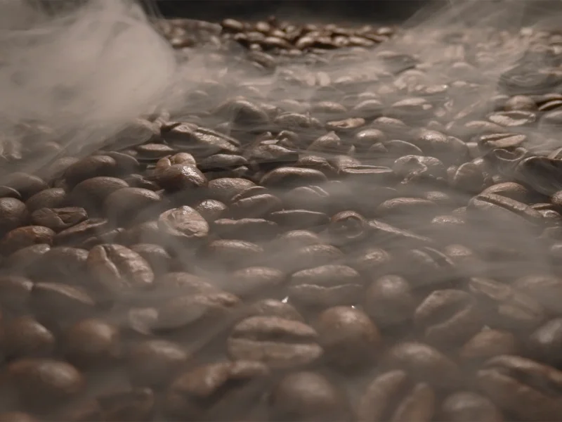 The role of humidity in the coffee roasting process